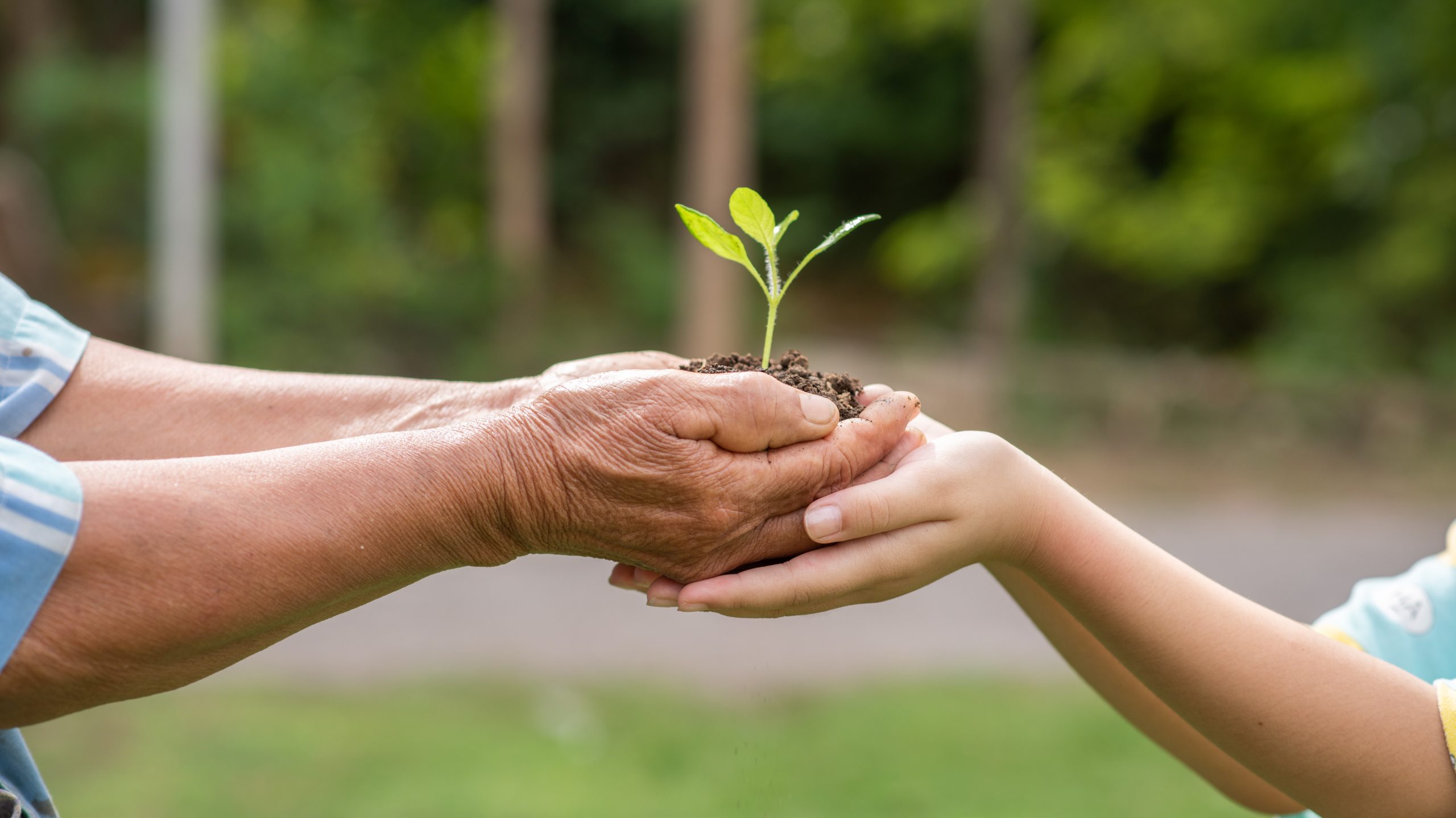 Eco-Friendly Construction: Building for a Greener Future